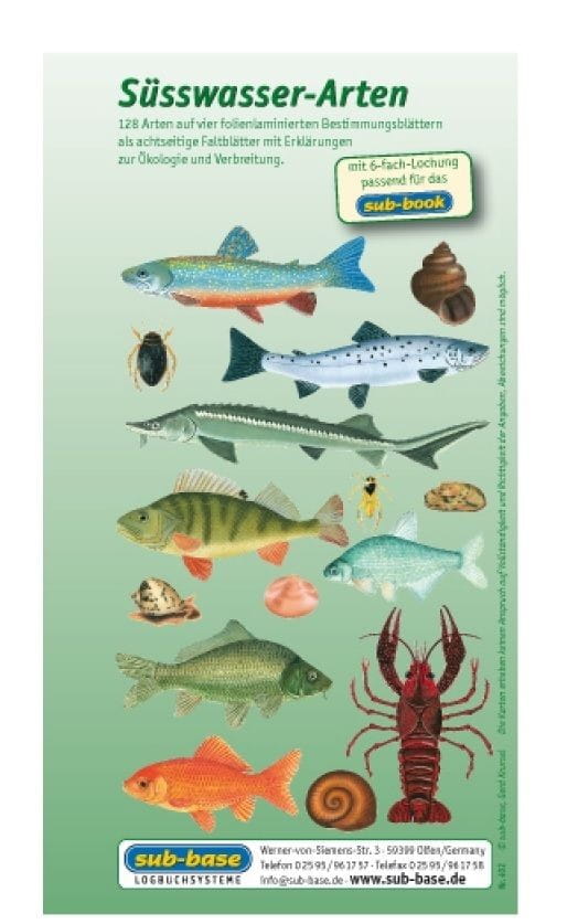 Fischkartenset_Suesswasser_Fischbestimmung Fischkartenset Süsswasser Fischbestimmung