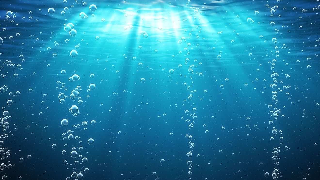 tauchshop-1_1920x1920 tauchshop-1_1920x1920