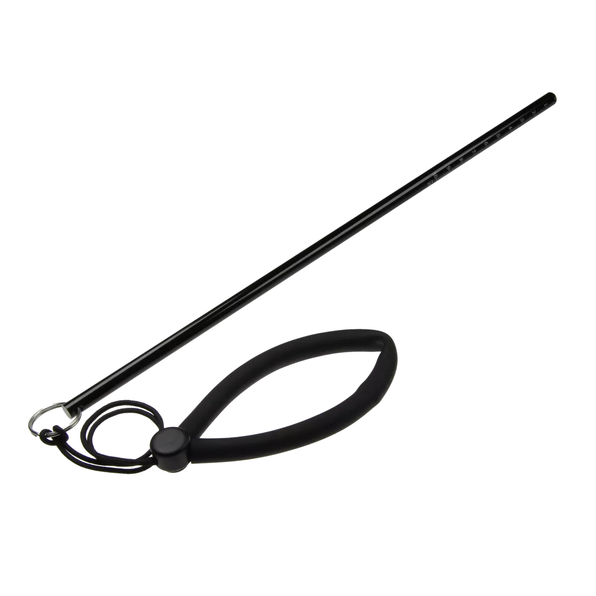 Riff Zeigestab mit Handschlaufe Riff Zeigestab mit Handschlaufe