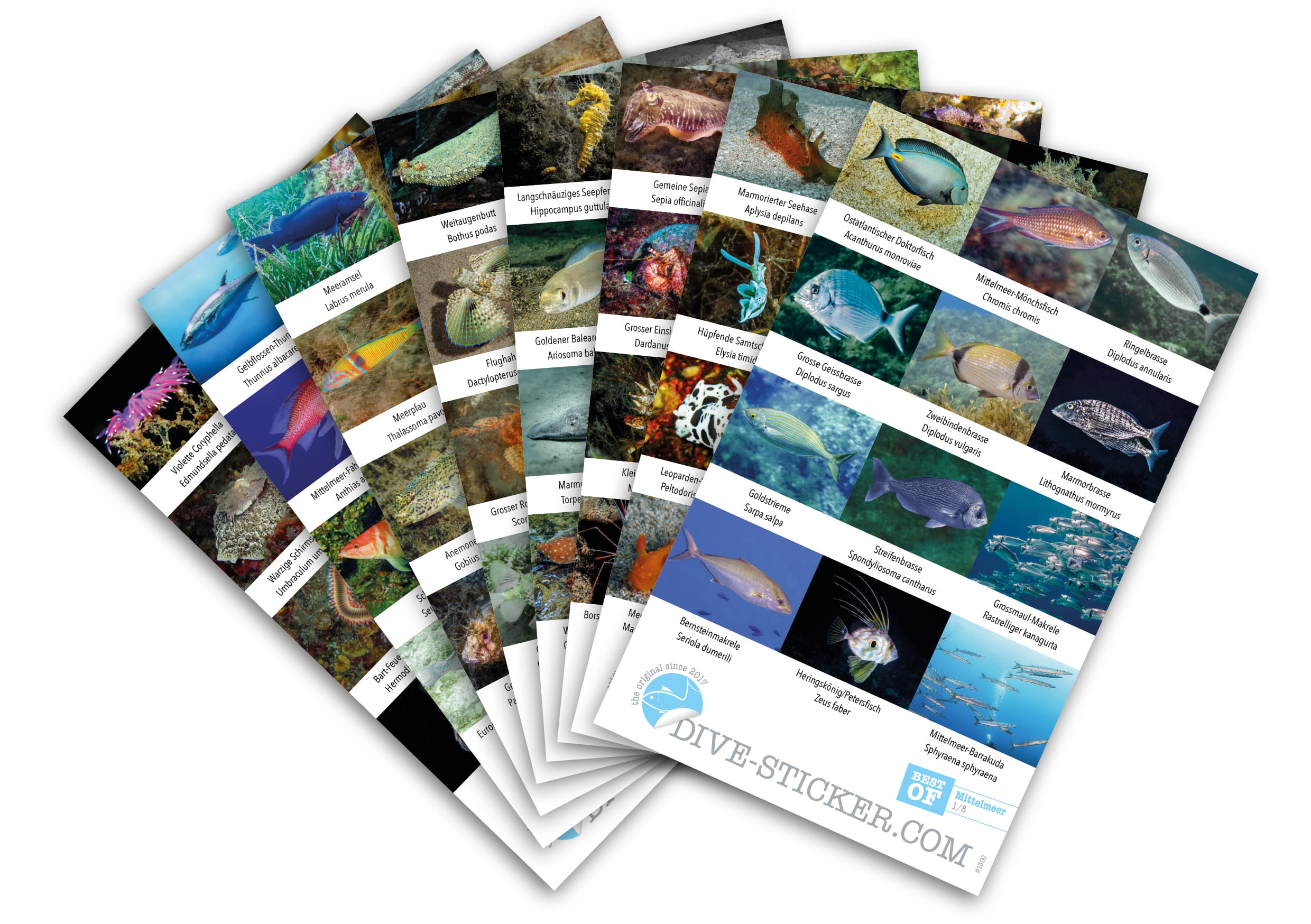 Dive Sticker Mittelmeer