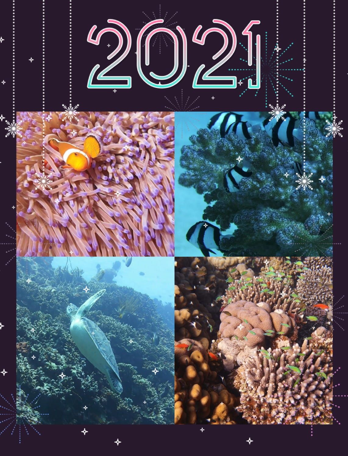 Happy New Year Happy New Year