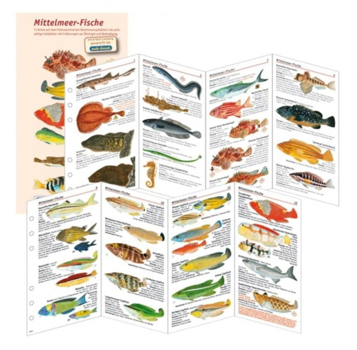 Fischfaltblatt_Mittelmeer_Fischbestimmungskarte Fischfaltblatt Mittelmeer Fischbestimmungskarte