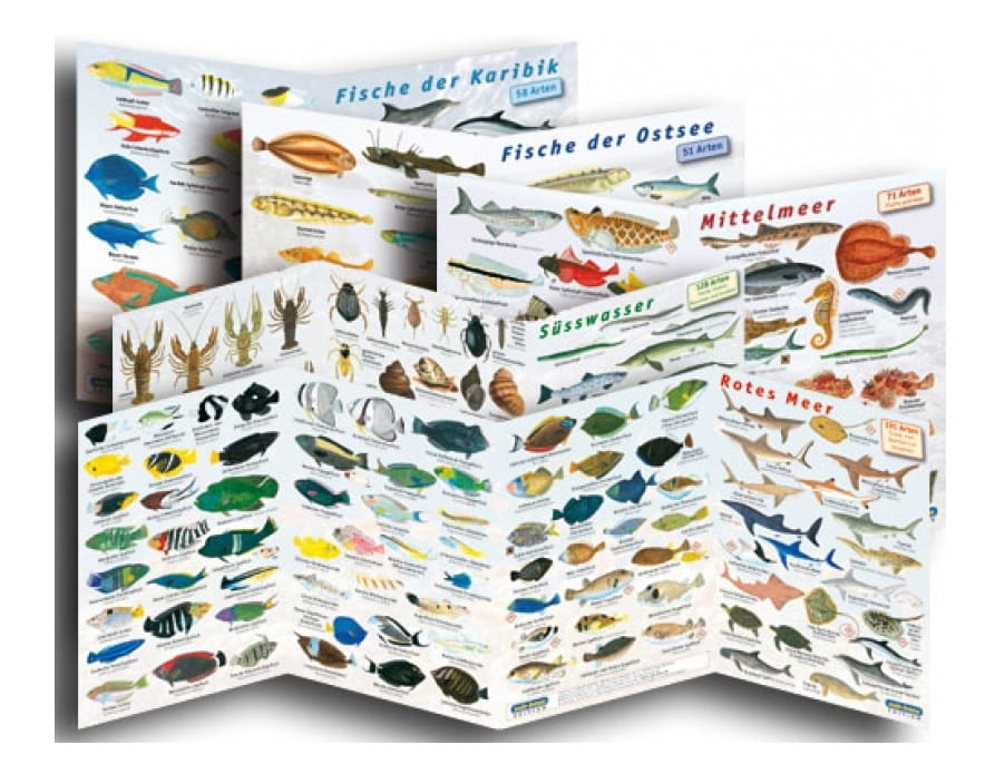 fischfaltblatt_komplettset Fischfaltblatt Komplettsammlung